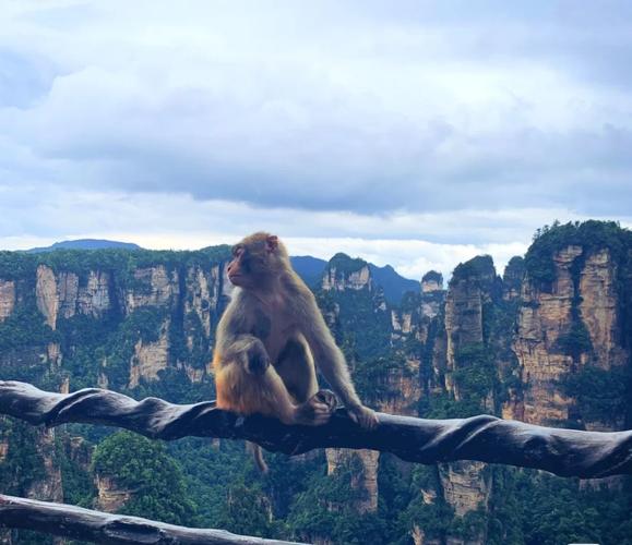 自由行张家界旅游攻略_旅游张家界旅游攻略