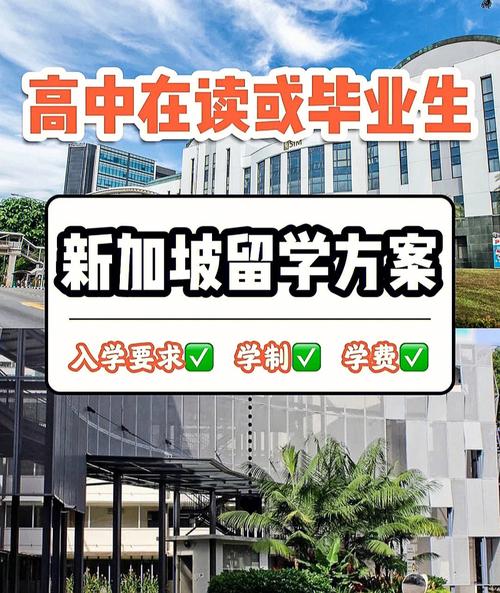 去新加坡留学一年要多少钱_高中毕业去新加坡留学一年要多少钱