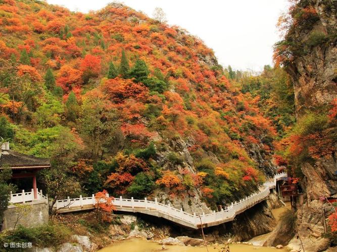 陇南旅游景点排名_陇南旅游景点排名大全