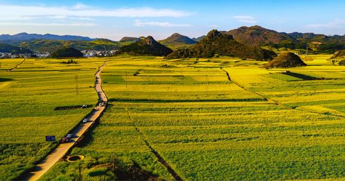 罗平旅游景点大全油菜花_罗平油菜花景点有哪些