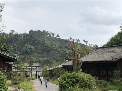 普洱旅游_普洱旅游攻略