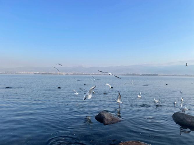 四川邛海旅游景点介绍-四川邛海旅游景点介绍图片