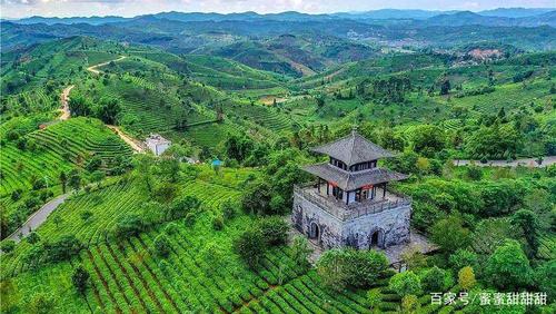 普洱旅游_普洱旅游攻略必去景点