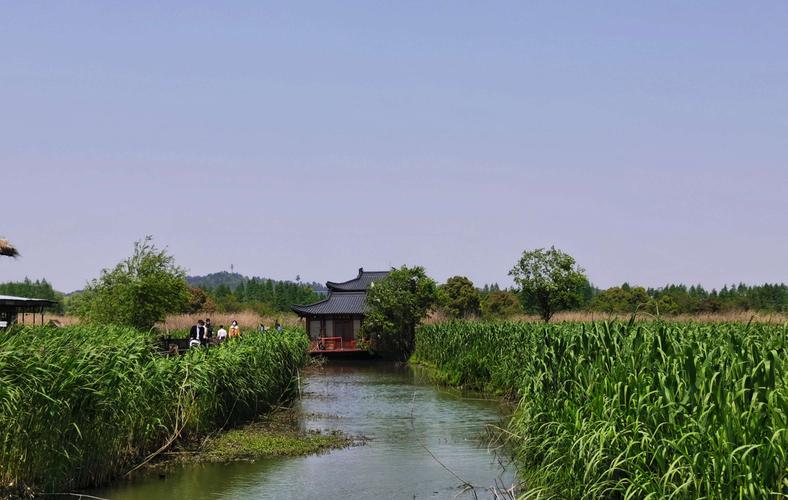 下渚湖国家湿地公园_下渚湖国家湿地公园好玩吗