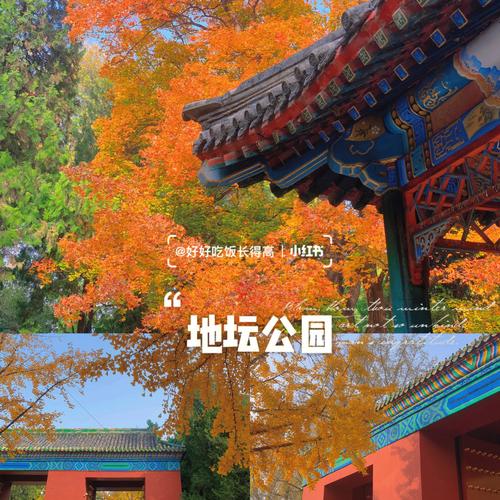 北京地坛公园景点介绍_北京地坛公园景点介绍图片